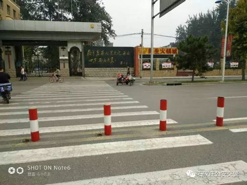 省會街頭交通煥新顏，幕后英雄顯身手